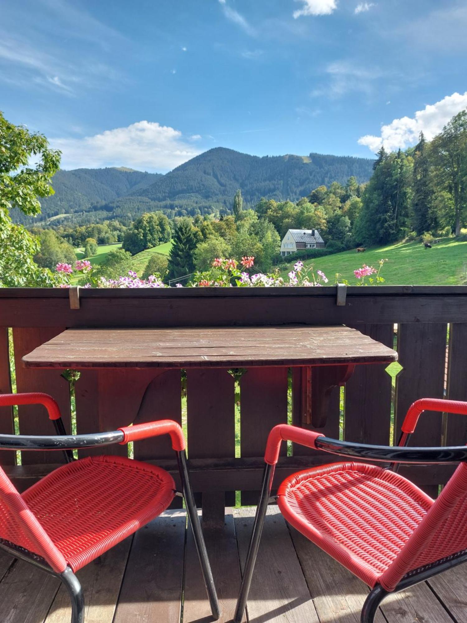 Schoenblick Apartment